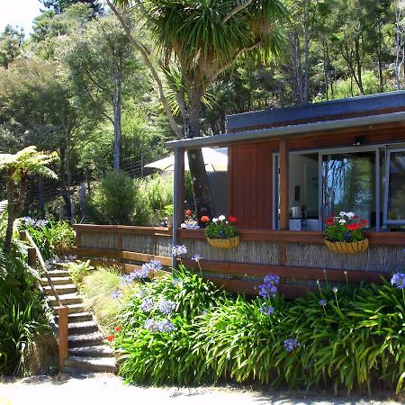 Cabbage Tree Chalet Parapara Oda fotoğraf